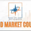 The MacroCompass – Bond Market Course