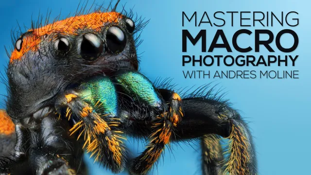 [SUPER HOT SHARE] Andres Moline – Fstoppers – Mastering Macro Photography