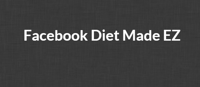 Ross Minchev and Brian Pfeiffer – Facebook Diet Made EZ Video Course