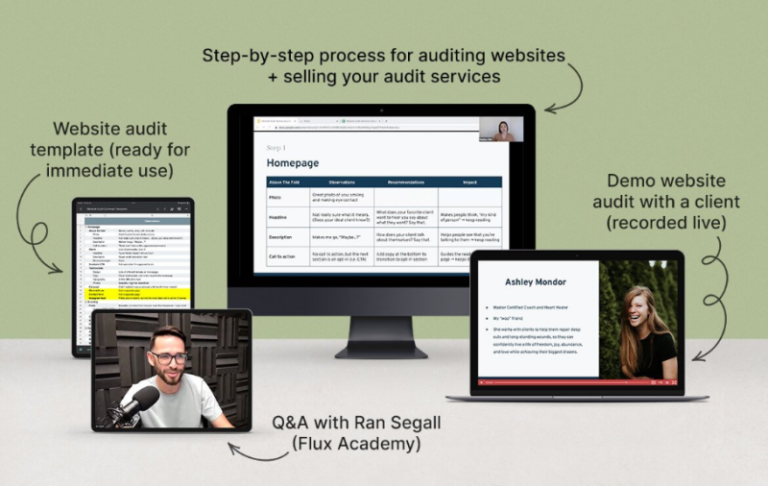 Read more about the article Danbee Shin – Website Audit Masterclass