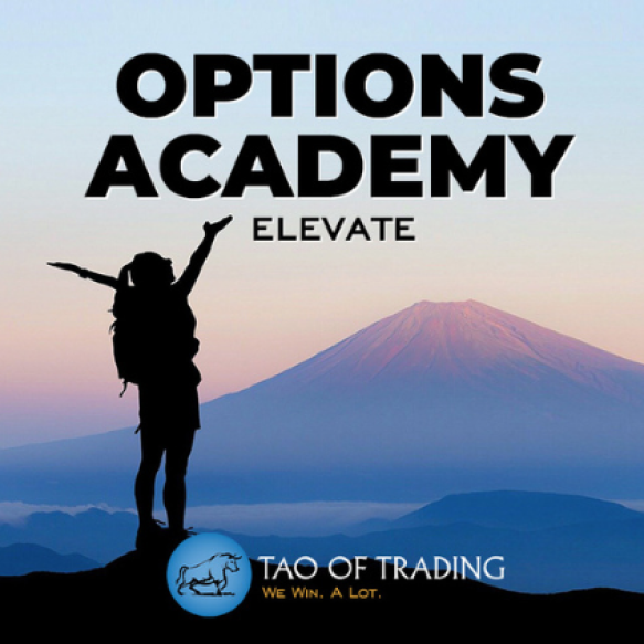 Read more about the article Simon Ree – Options Academy Elevate