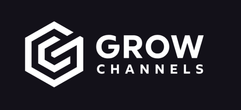 Read more about the article Razvan Paraschiv – Grow Channels Accelerator