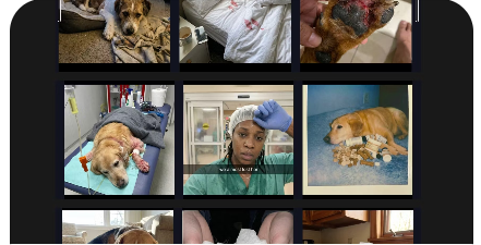 You are currently viewing Satish Prajapati – Native Ads